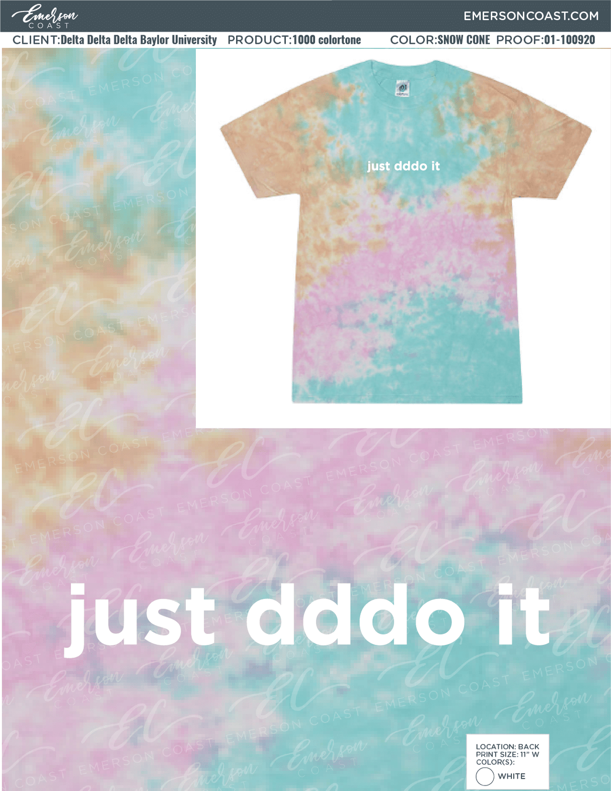 01-100920 Delta Delta Delta Baylor University Do it 2020-01