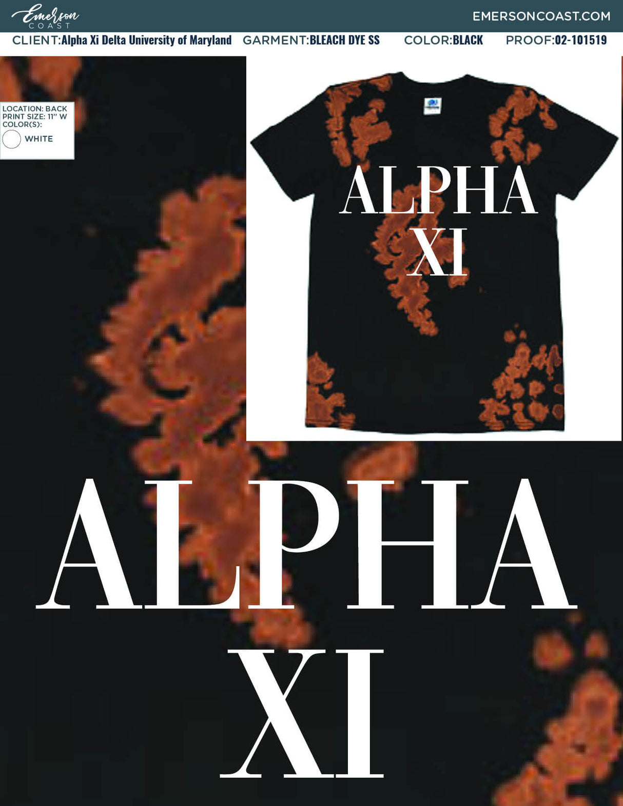 02-101519 Alpha Xi Delta University of Maryland Spring Recruitment 2020-01