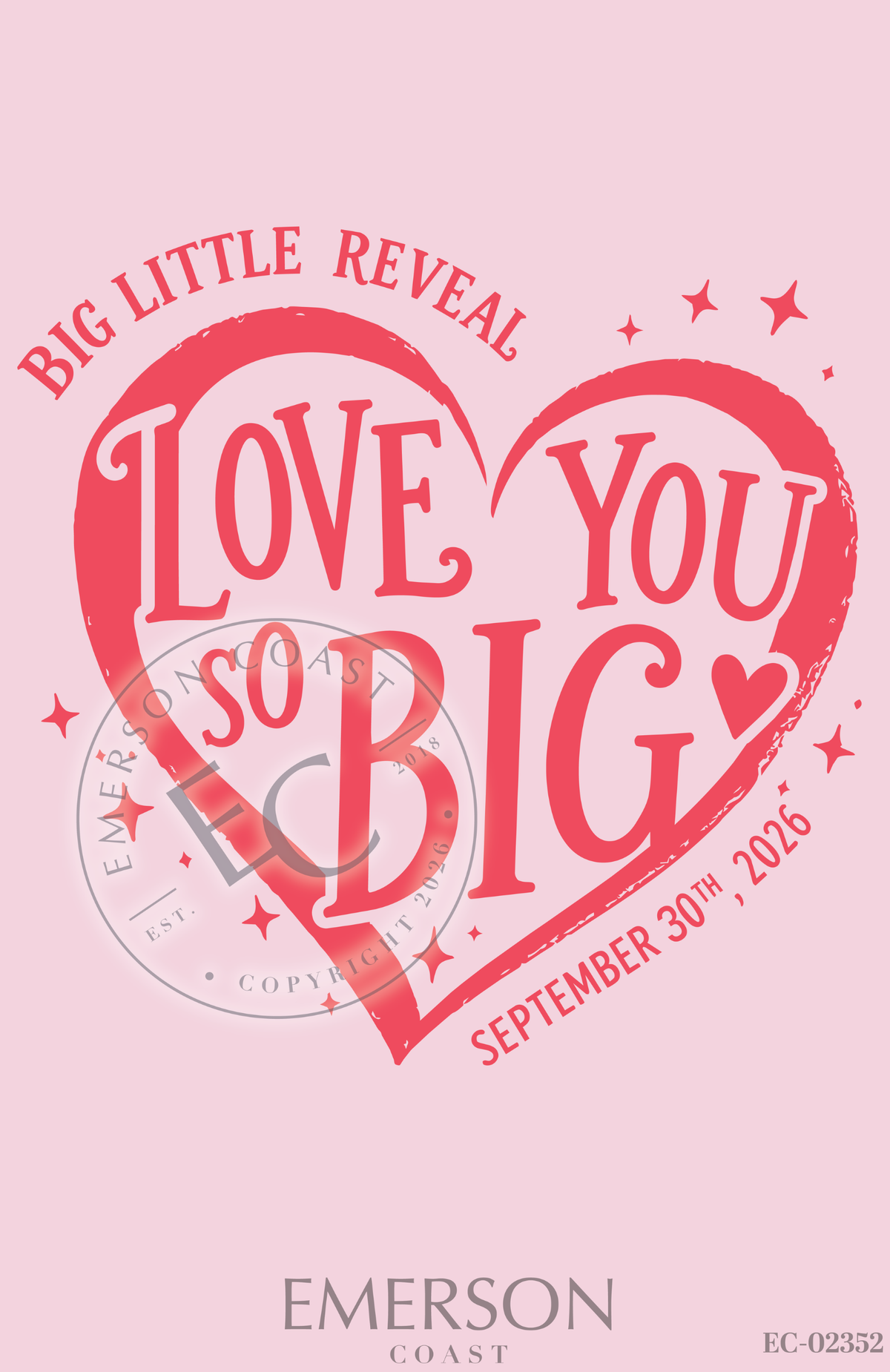 Alpha Omicron Pi Big Little Reveal Love you so Big Tee