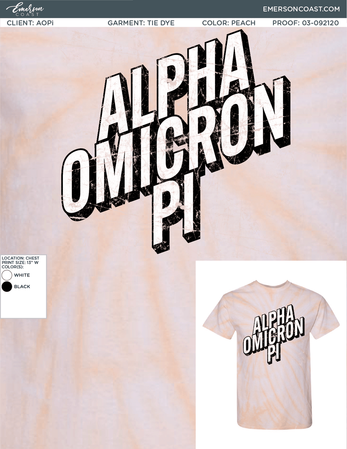 03-092120 Alpha Omircon Pi East Carolina University BigLittle 2020 -01