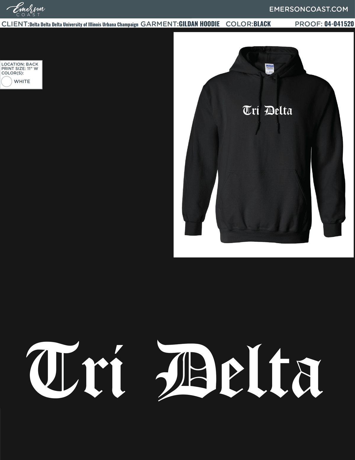 04-041520 Delta Delta Delta University of Illinois Urbana Champaign Hoodie 2020 3-01