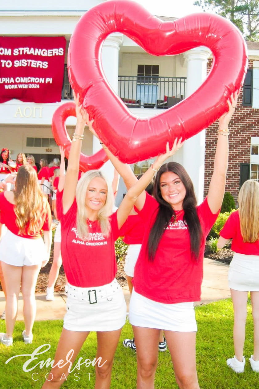 Alpha Omicron Pi Georgia Southern University From Strangers To Sisters Work Week Tee
