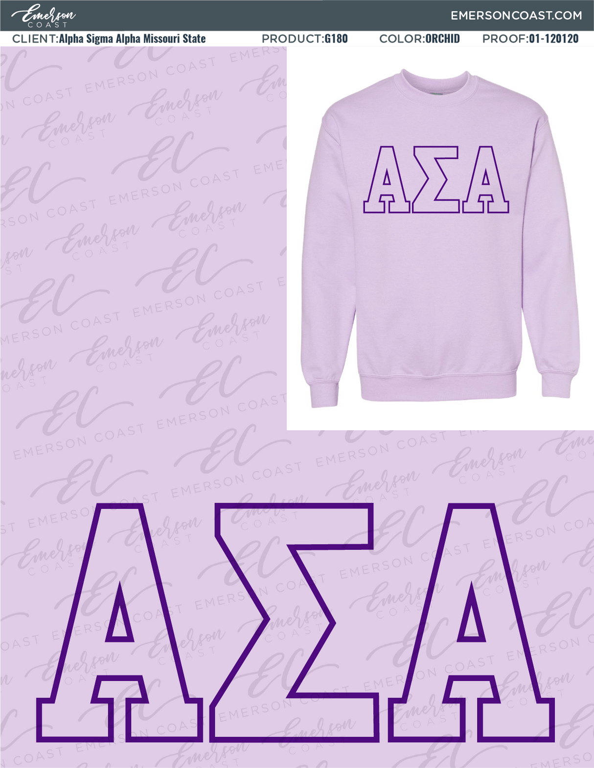 01-120120 Alpha Sigma Alpha Missouri State University Sweatshirt 2020-01