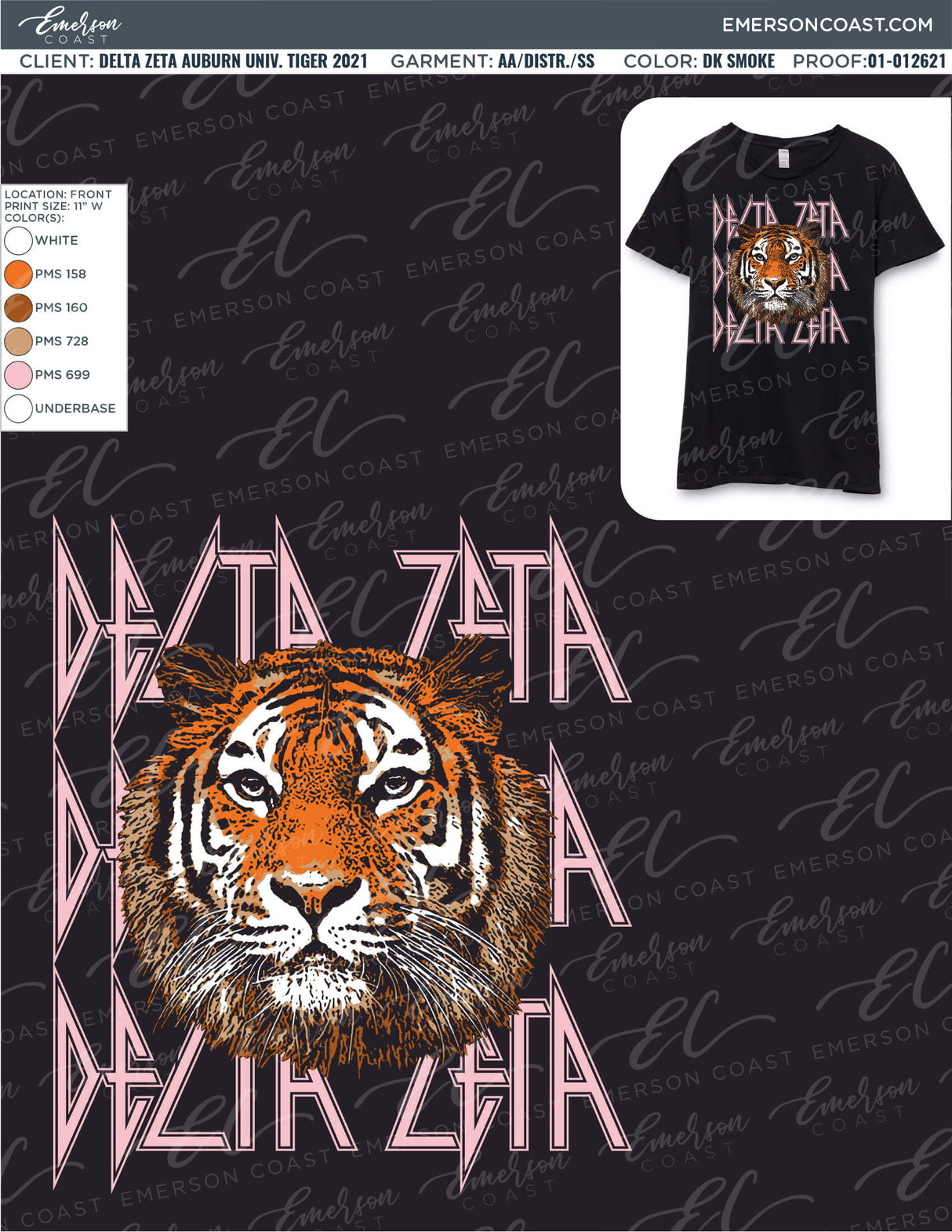 01-012621 Delta Zeta Auburn University Tiger 2021