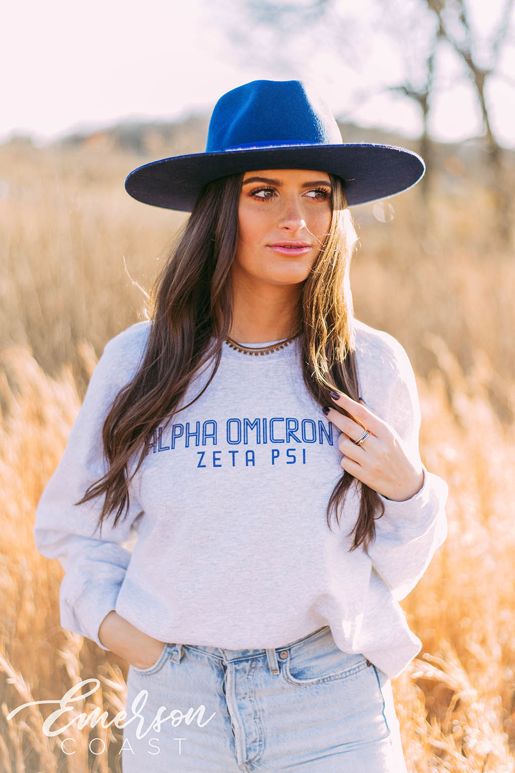 Alpha Omicron Pi Simple Ash Gray Crewneck