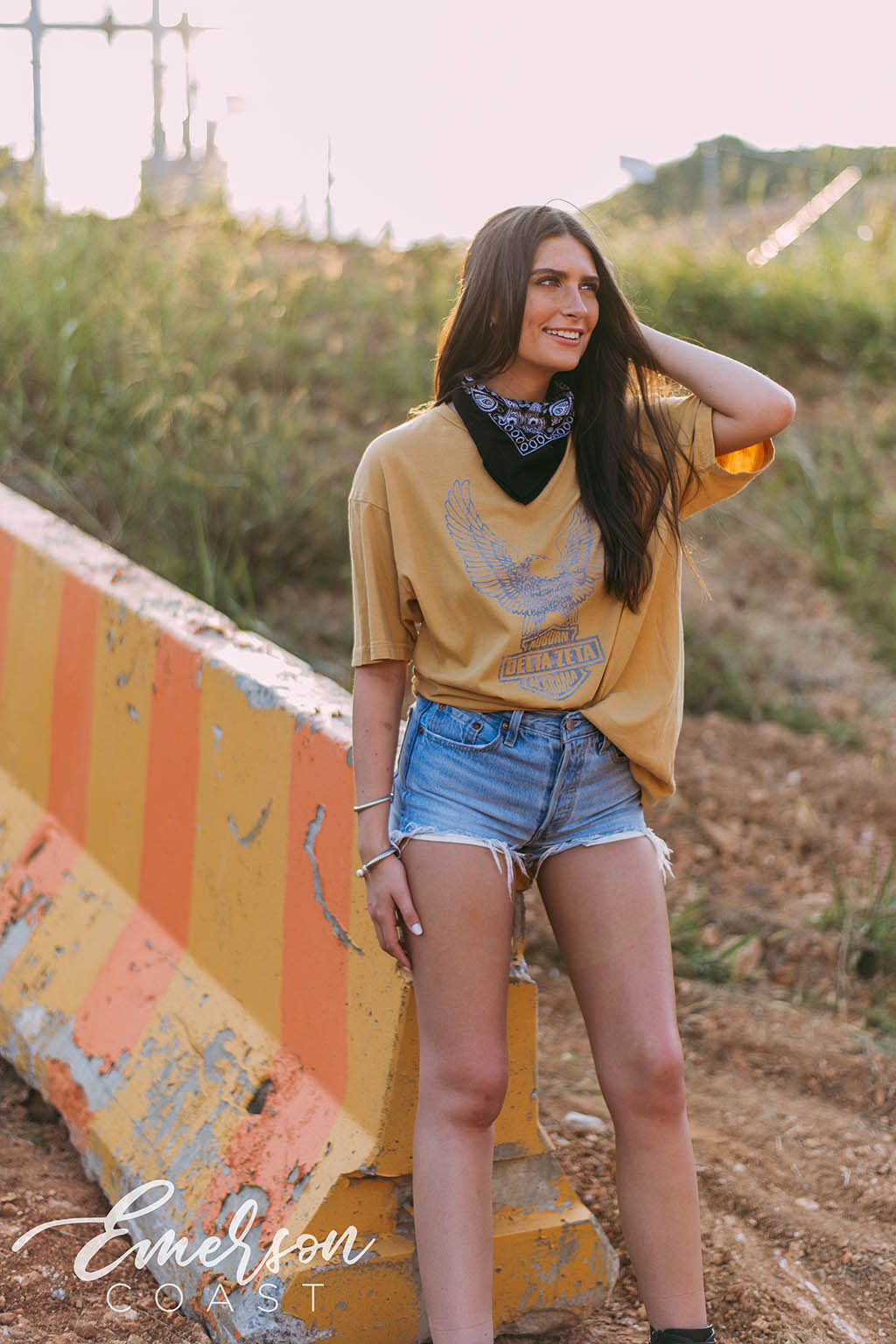 Delta Zeta Vintage Eagle Tee