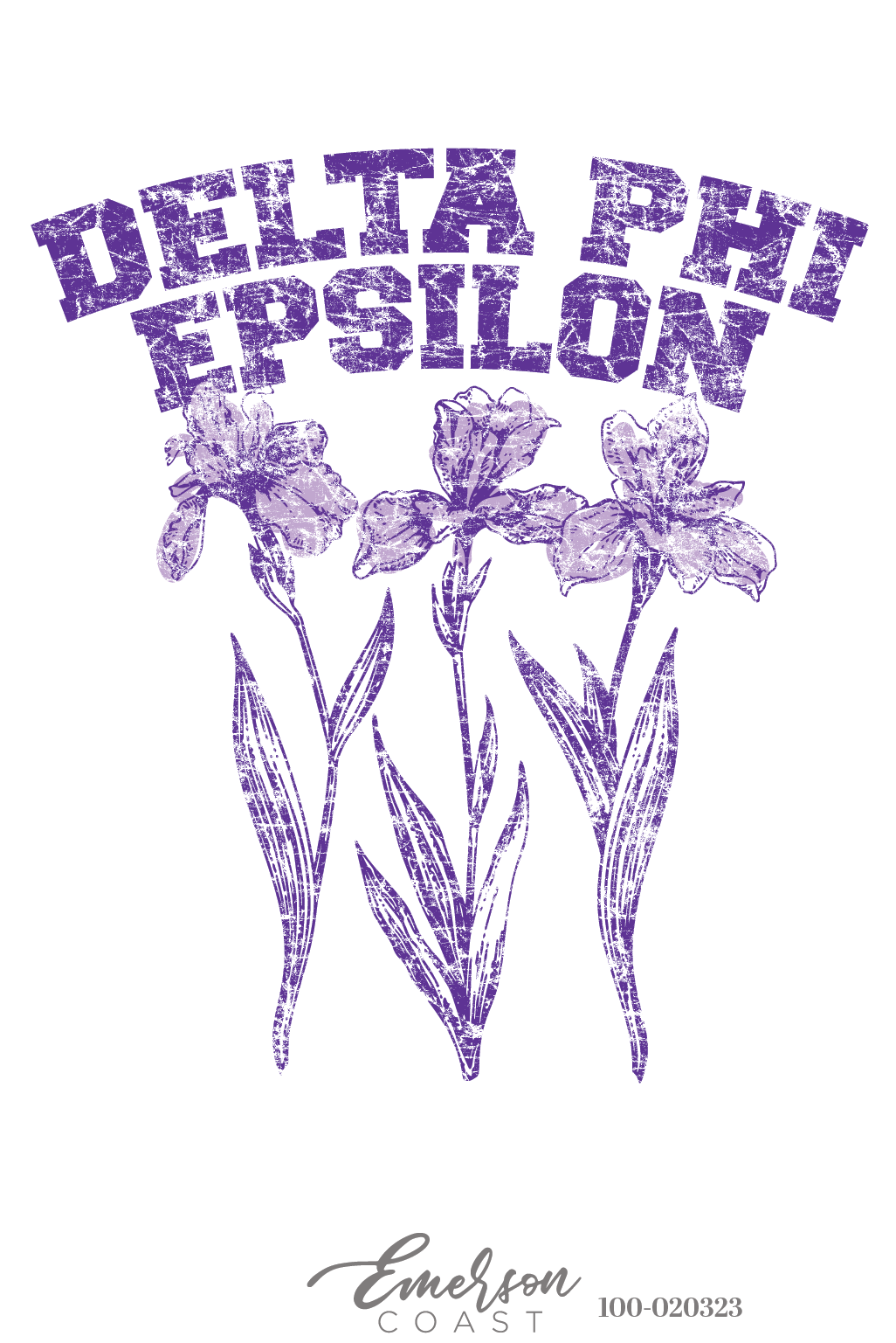 Delta Phi Epsilon Iris Recruitment Ringer Tee