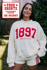 Alpha Omicron Pi Vintage Varsity Mockneck