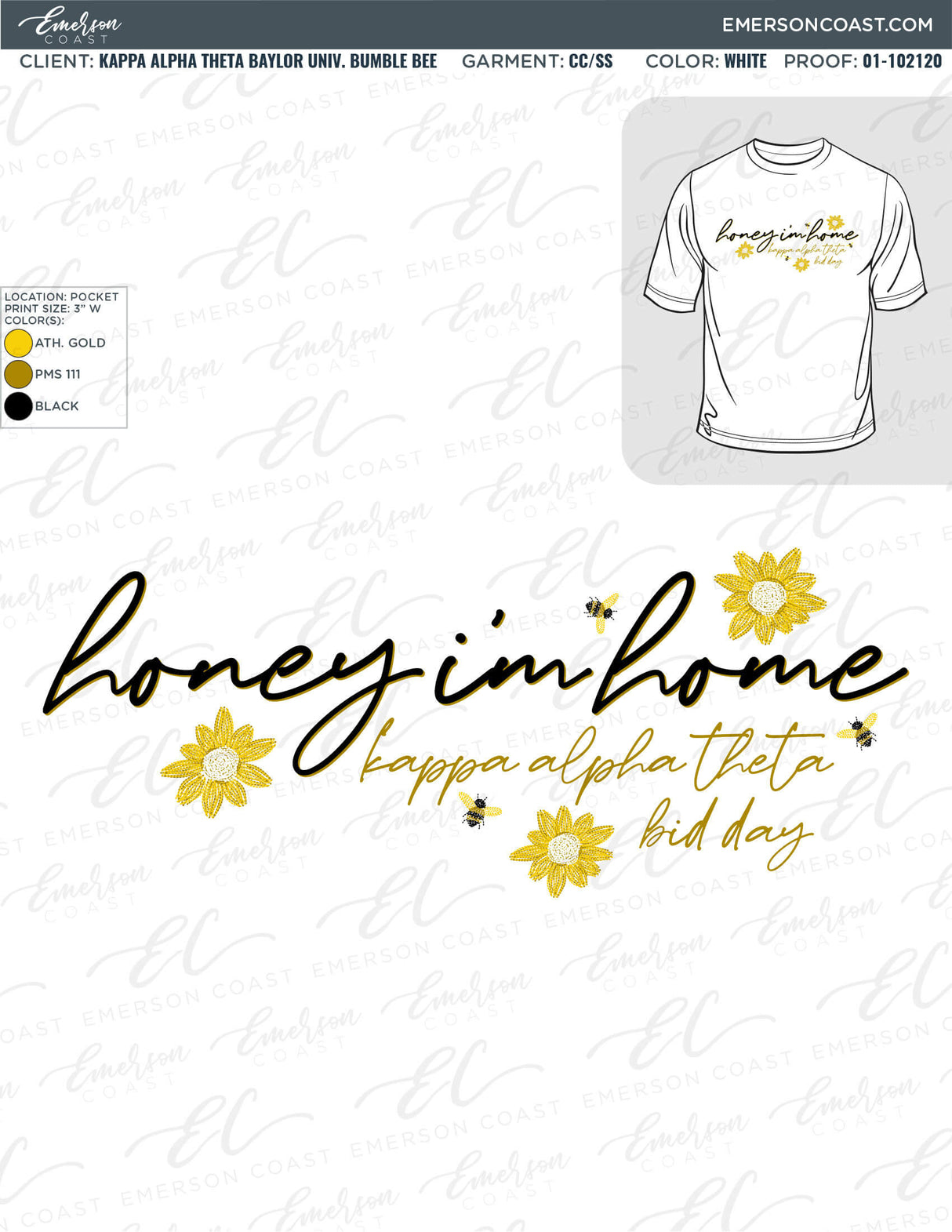 01-102120 Kappa Alpha Theta Baylor University Bumble Bee 2