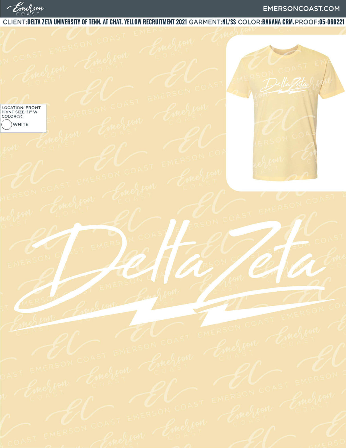 05-060221 Delta Zeta University of Tennessee at Chattanooga Yellow Recruitment 2021