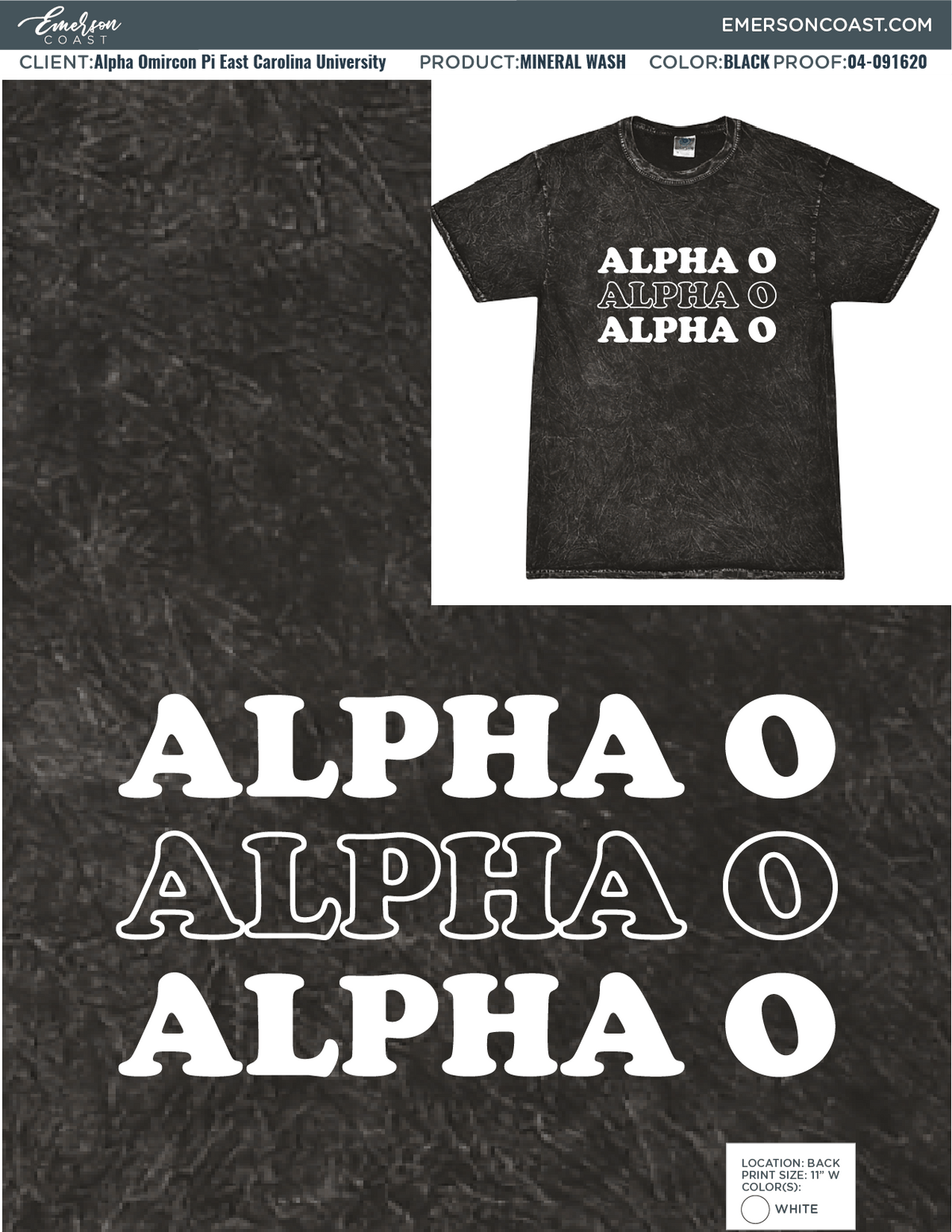 04-091620 Alpha Omircon Pi East Carolina University Big-Little 2020-02