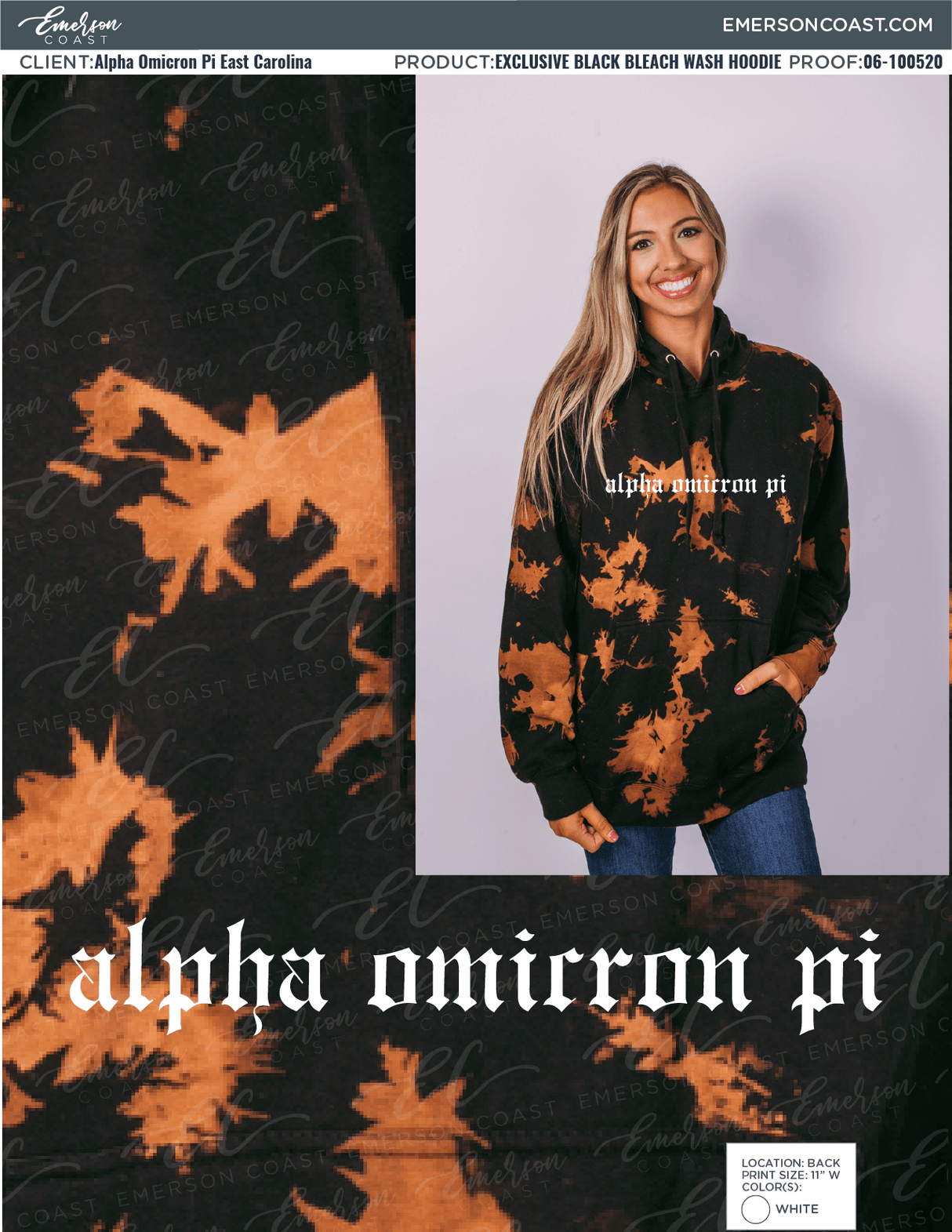 06-100520 Alpha Omicron Pi East Carolina University Gothic 2020-01