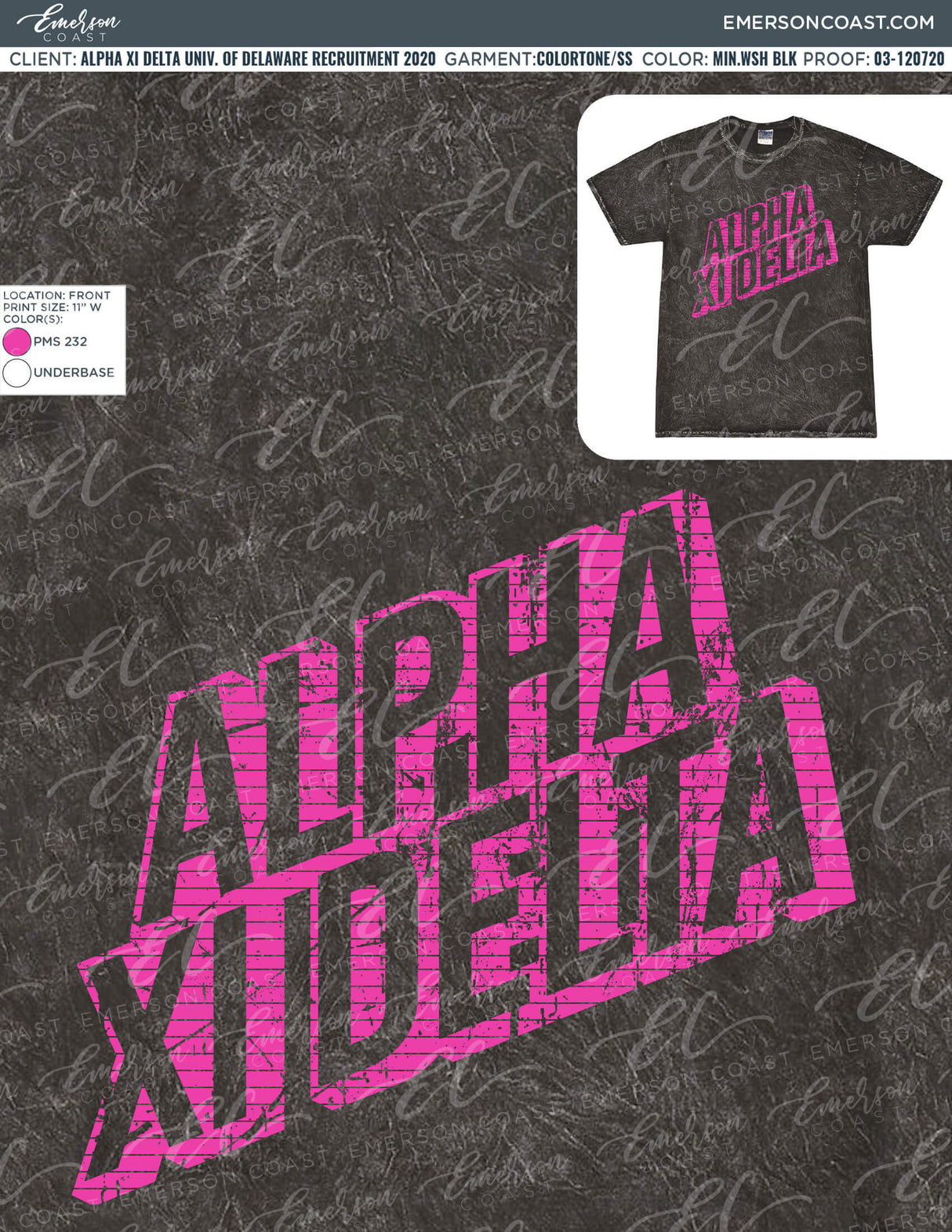 03-120720 Alpha Xi Delta University of Delaware Recruitment 2020
