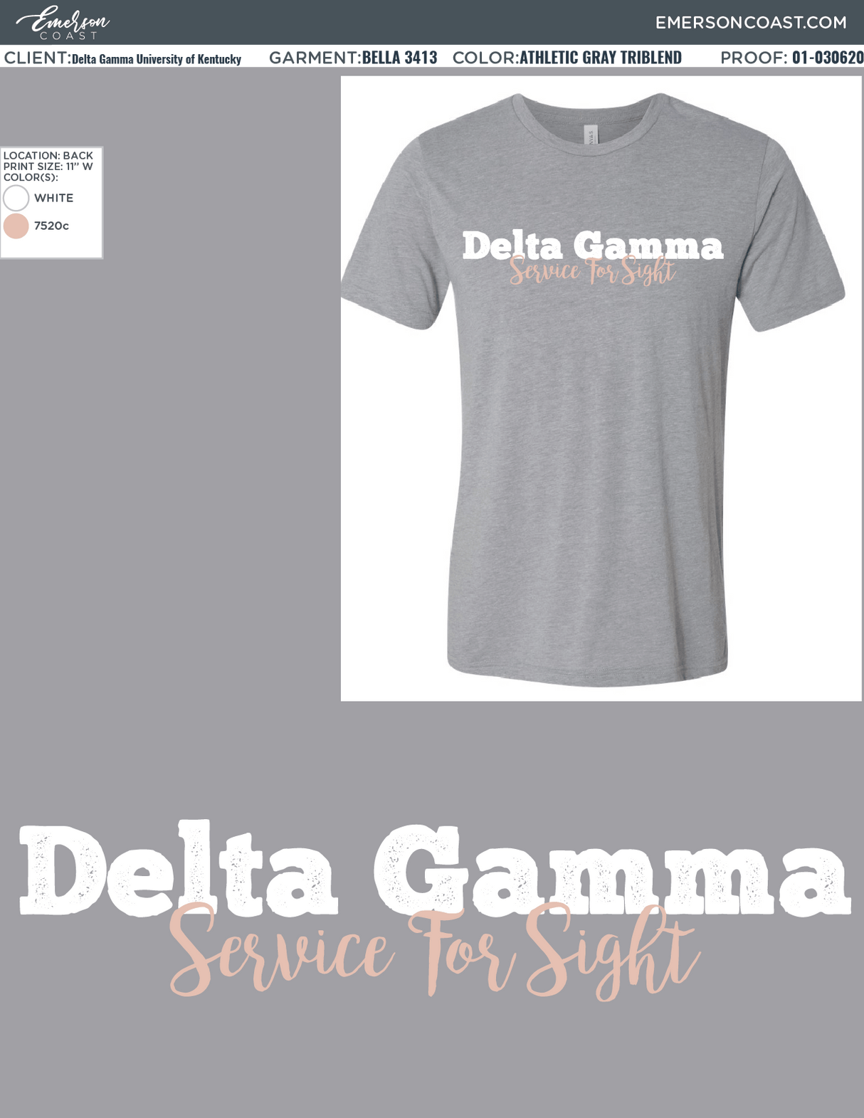01-030620 Delta Gamma University of Kentucky Service for Sight 2020-01