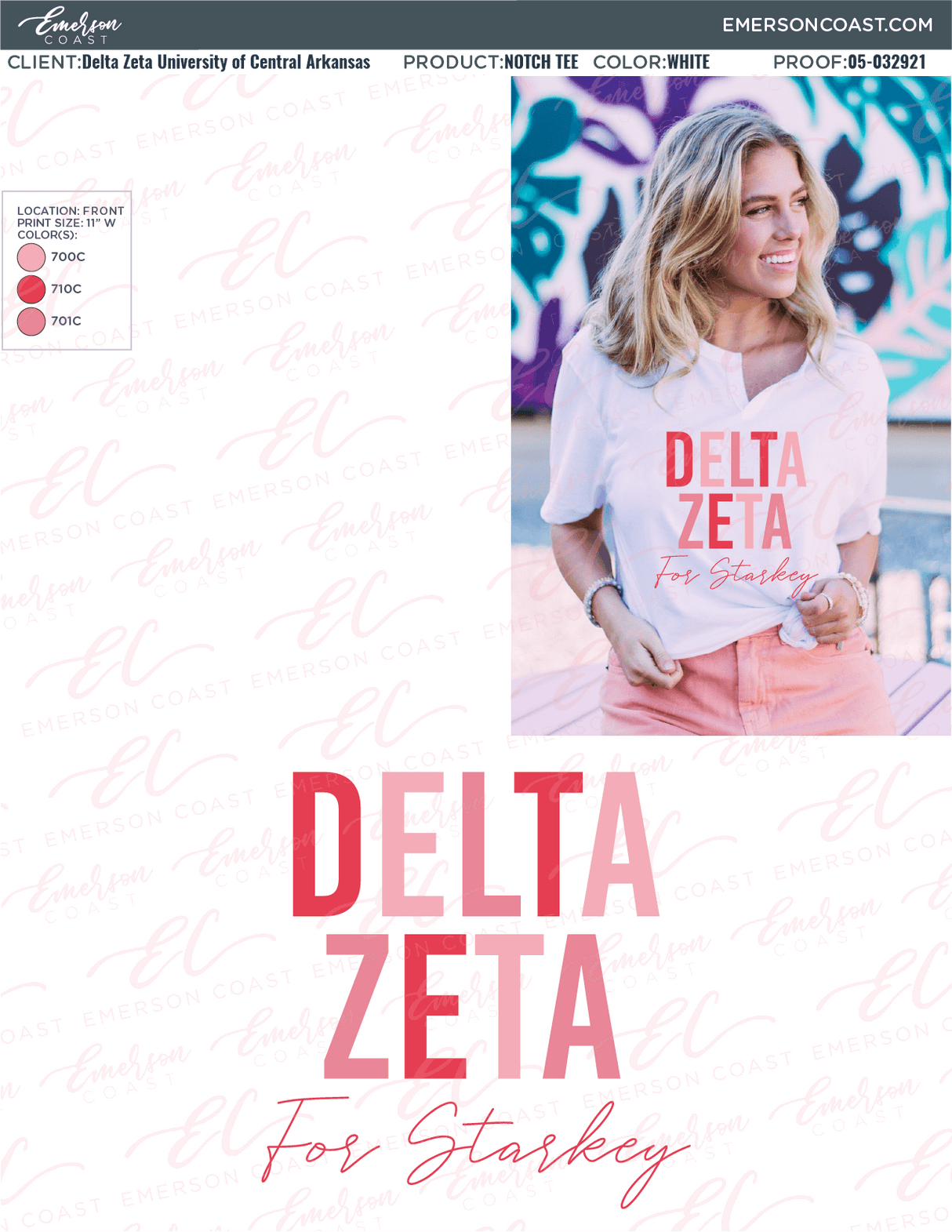 05-032921 Delta Zeta University of Central Arkansas Recruitment 2021-01