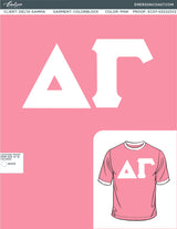 Delta Gamma Bid Day Colorblock Ringer.jpg