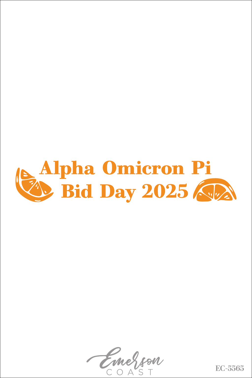 Alpha Omicron Pi Slice Of Sunshine Bid Day T-Shirt