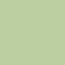 Light Green 22