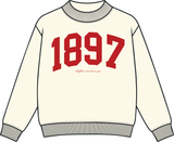 Alpha Omicron Pi Vintage Varsity Mockneck