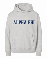 APHI Hoodie