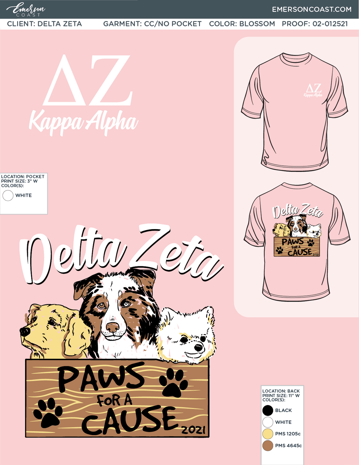 02-012521 Delta Zeta Nicholls State University Philanthropy 2021-01