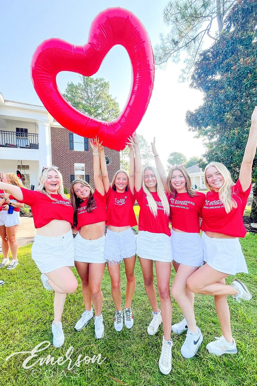 Alpha Omicron Pi Georgia Southern University From Strangers To Sisters Work Week Tee