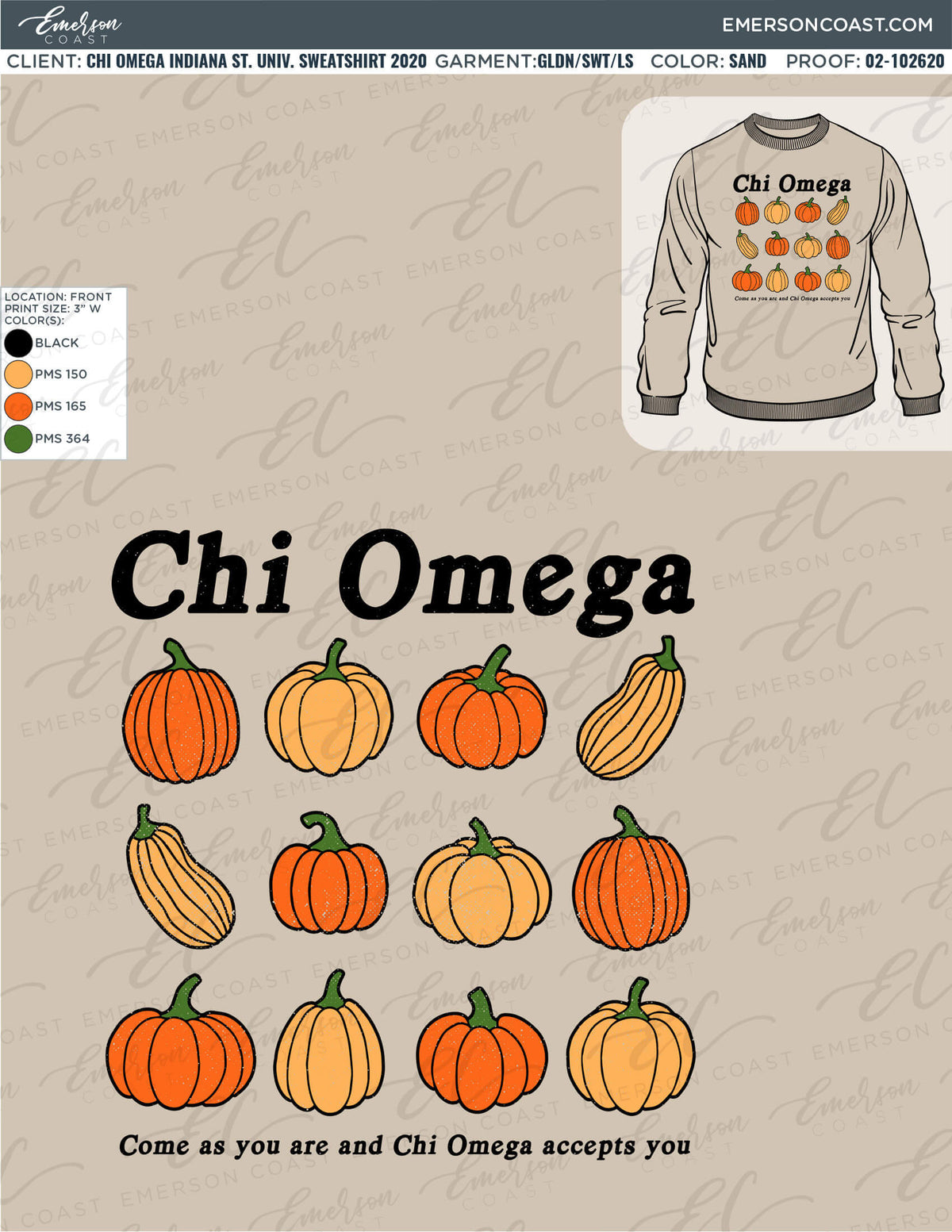 02-102620 Chi Omega Indiana State University Sweatshirt 2020