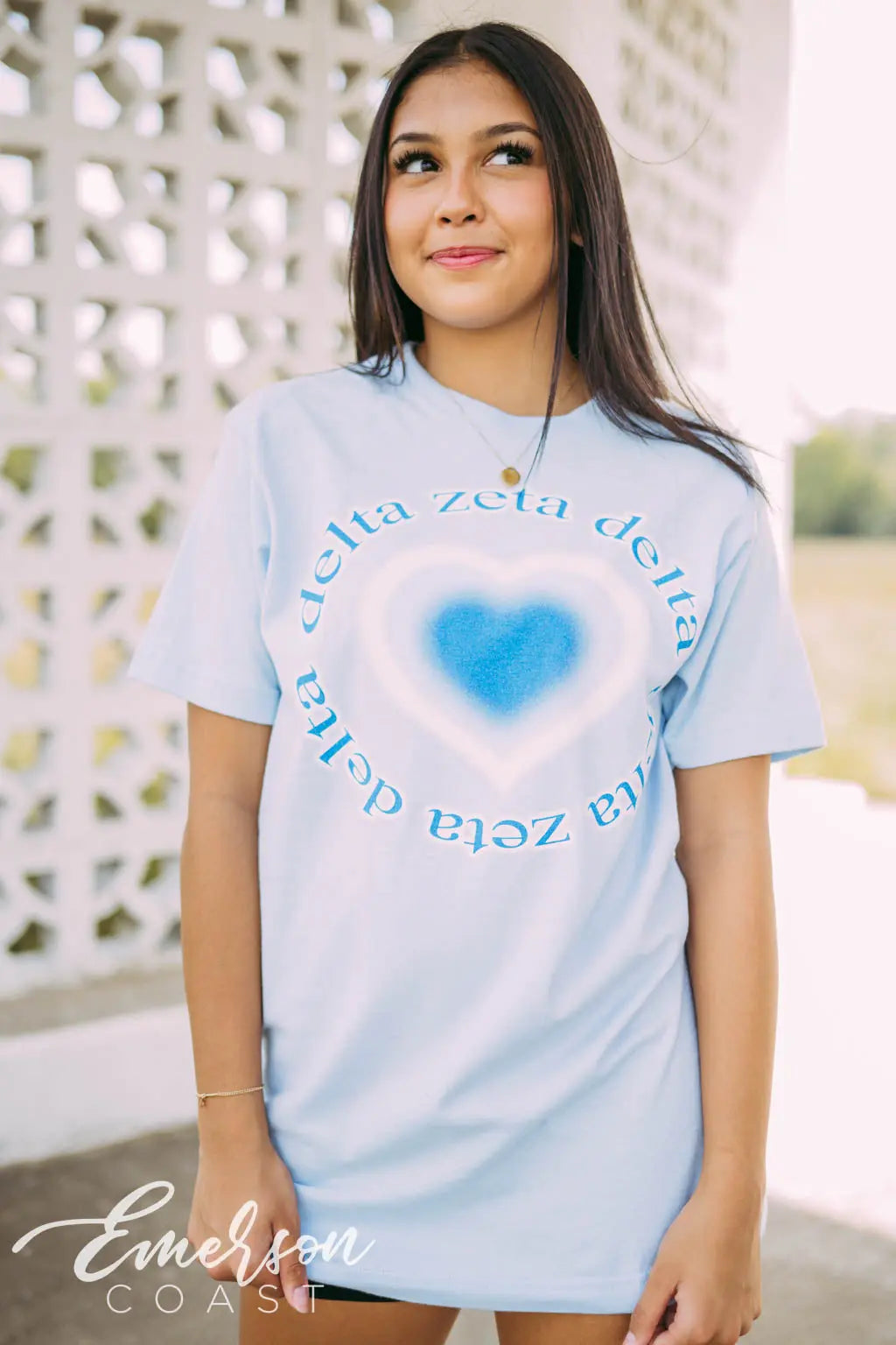 Delta Zeta Airbrush Heart Tshirt
