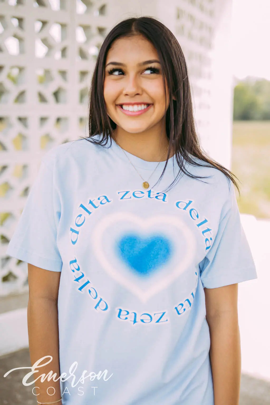 Delta Zeta Airbrush Heart Tshirt