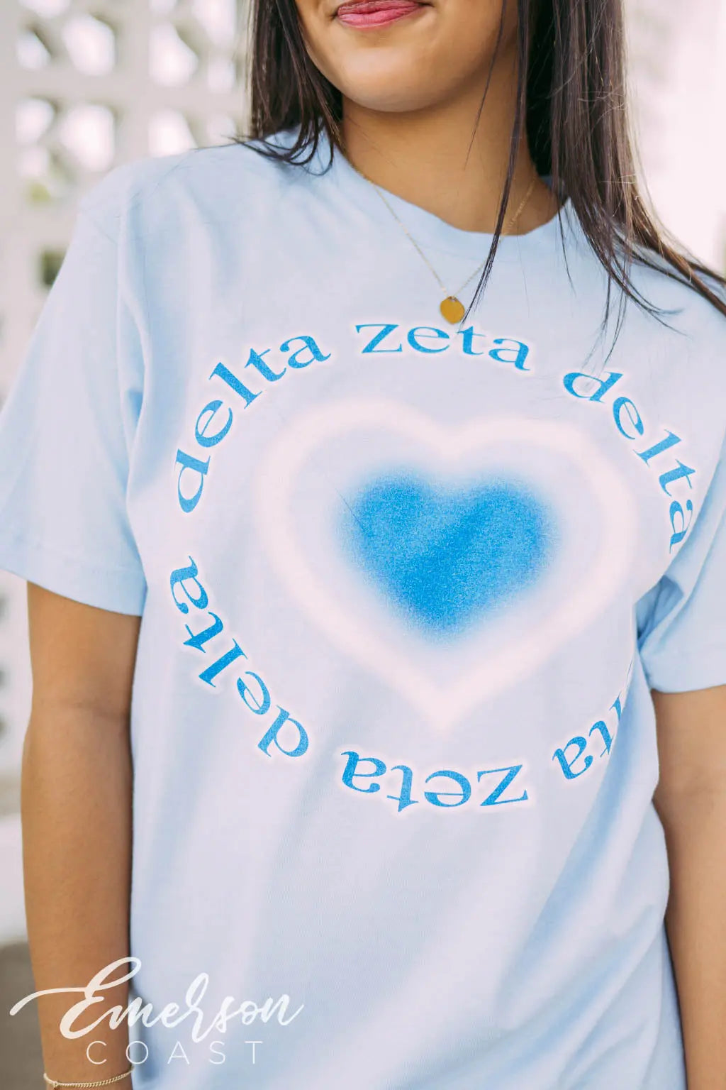 Delta Zeta Airbrush Heart Tshirt