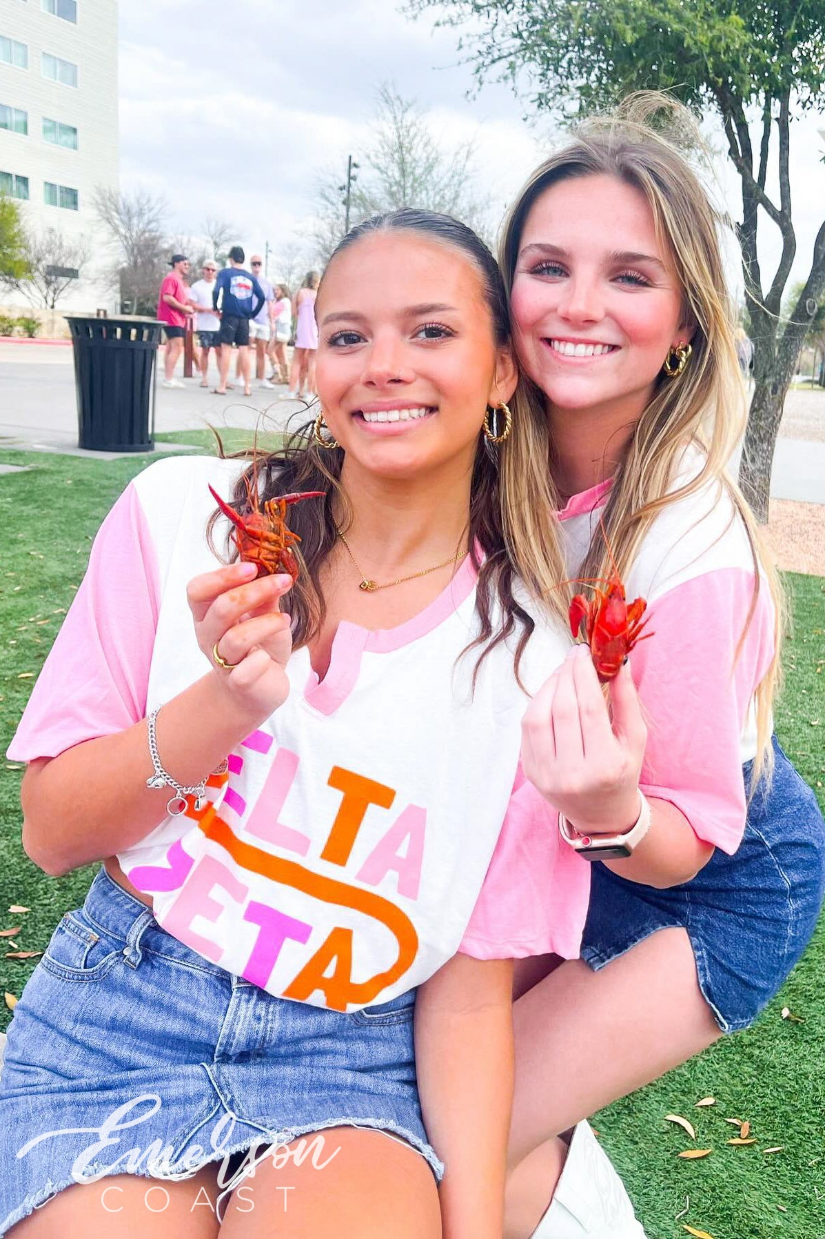 Delta Zeta Craws for a Cause Colorblock Henley