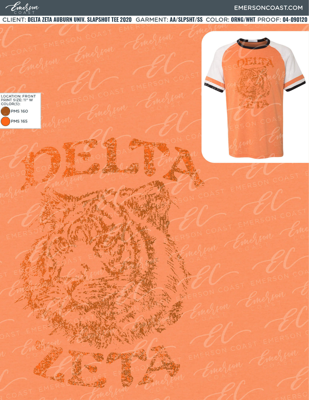 04-090120 Delta Zeta Auburn University Slapshot tee 2020