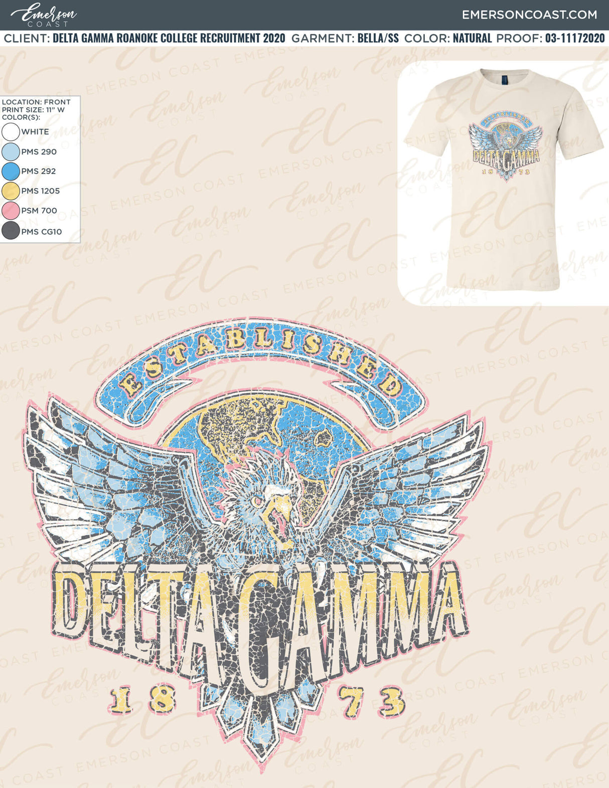 03-11172020 Delta Gamma Roanoke College Recruitment 2020