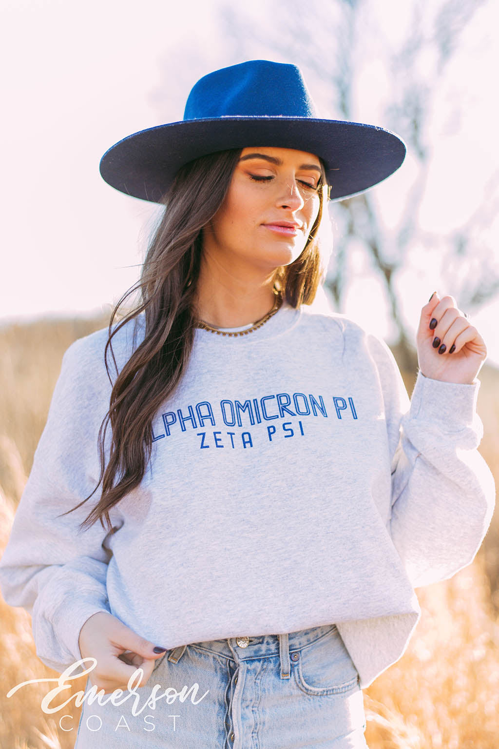 Alpha Omicron Pi Simple Ash Gray Crewneck