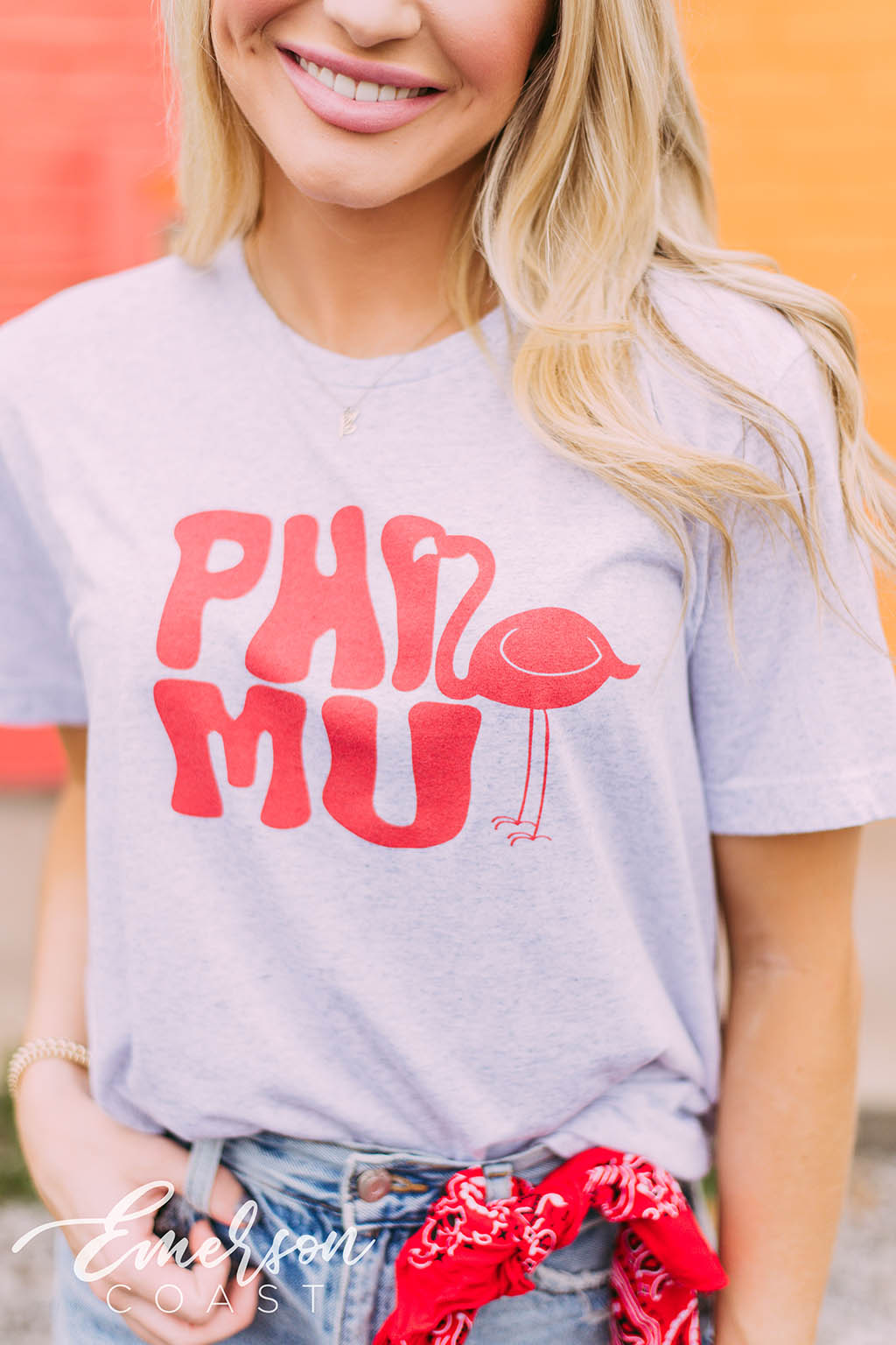Phi Mu Lets Flamingle Tee